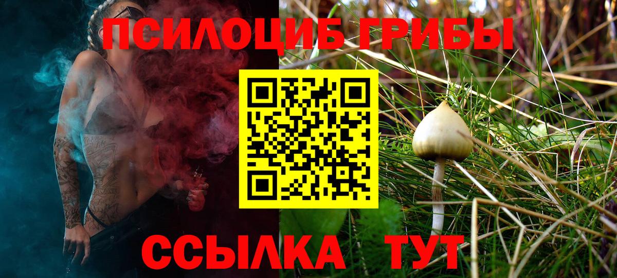Тамбов  Галлюциногенные грибы мухоморы  Вход с VPN 