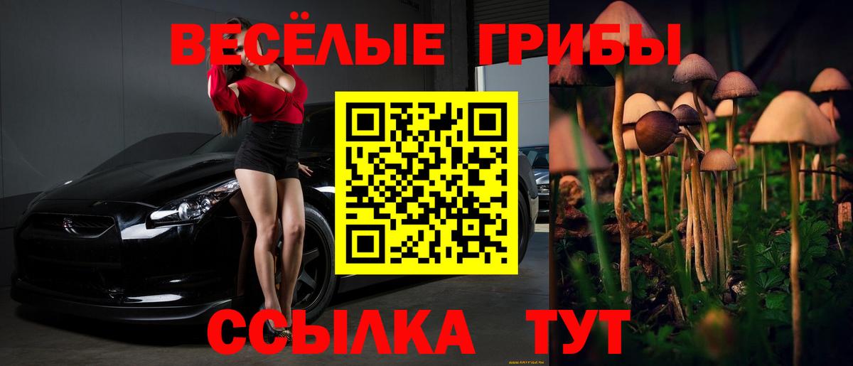 Псилоцибиновые грибы Magic Shrooms Тамбов